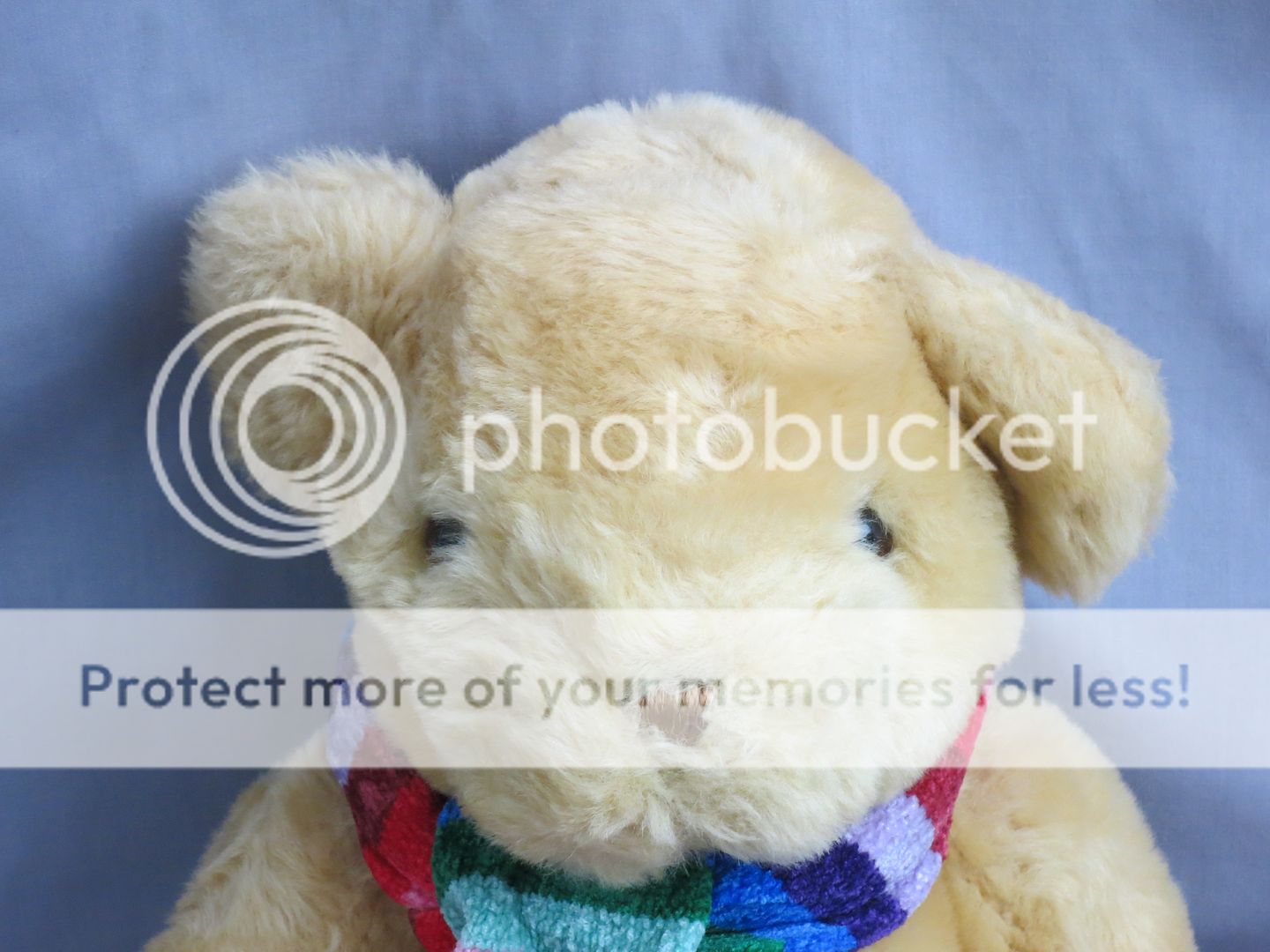 gay pride teddy bear